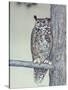 Owl Two-Rusty Frentner-Stretched Canvas