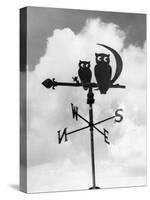 Owl Weathervane-null-Stretched Canvas