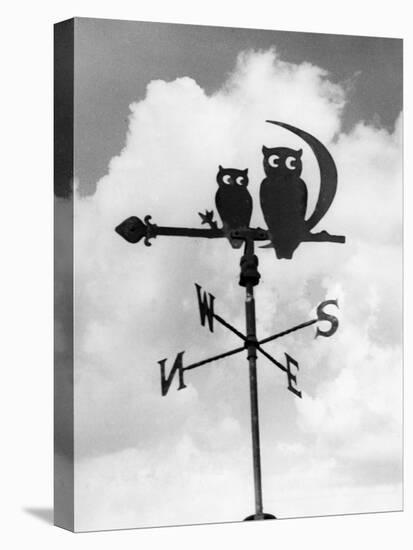 Owl Weathervane-null-Stretched Canvas