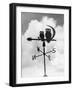 Owl Weathervane-null-Framed Premium Photographic Print