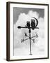 Owl Weathervane-null-Framed Photographic Print