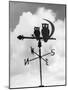 Owl Weathervane-null-Mounted Photographic Print