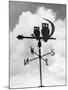 Owl Weathervane-null-Mounted Photographic Print