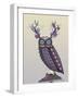 Owl with Psychedelic Antlers-Fab Funky-Framed Art Print