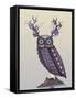 Owl with Psychedelic Antlers-Fab Funky-Framed Stretched Canvas