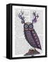 Owl with Psychedelic Antlers-Fab Funky-Framed Stretched Canvas