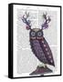 Owl with Psychedelic Antlers-Fab Funky-Framed Stretched Canvas