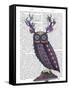 Owl with Psychedelic Antlers-Fab Funky-Framed Stretched Canvas