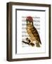 Owl with Steampunk Style Bowler Hat-Fab Funky-Framed Art Print