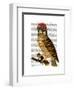 Owl with Steampunk Style Bowler Hat-Fab Funky-Framed Art Print