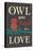 Owl You Need Is Love-Lantern Press-Stretched Canvas