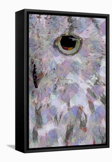 Owl3 (digital)-Scott J. Davis-Framed Stretched Canvas