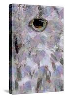 Owl3 (digital)-Scott J. Davis-Stretched Canvas