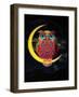 Owl-Ali Gulec-Framed Art Print