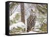 Owl-null-Framed Stretched Canvas