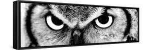 Owl-PhotoINC-Framed Stretched Canvas