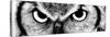 Owl-PhotoINC-Stretched Canvas