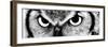 Owl-PhotoINC-Framed Premium Photographic Print