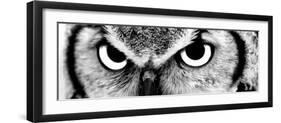 Owl-PhotoINC-Framed Premium Photographic Print