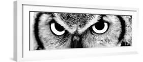 Owl-PhotoINC-Framed Premium Photographic Print