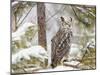 Owl-null-Mounted Photographic Print