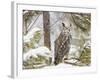 Owl-null-Framed Photographic Print