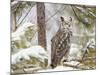 Owl-null-Mounted Photographic Print