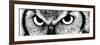 Owl-PhotoINC-Framed Photographic Print
