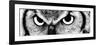 Owl-PhotoINC-Framed Photographic Print