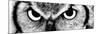 Owl-PhotoINC-Mounted Photographic Print