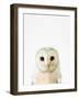 Owl-Tai Prints-Framed Photographic Print