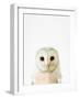 Owl-Tai Prints-Framed Photographic Print