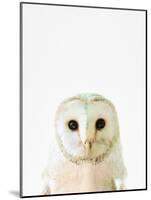 Owl-Tai Prints-Mounted Photographic Print