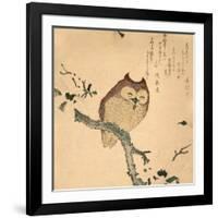 Owl-null-Framed Art Print