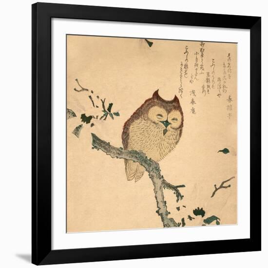 Owl-null-Framed Art Print