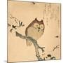 Owl-null-Mounted Art Print