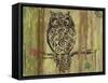 Owl-Karen Williams-Framed Stretched Canvas