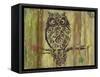 Owl-Karen Williams-Framed Stretched Canvas