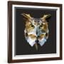 Owl-Lora Kroll-Framed Art Print