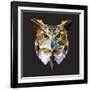 Owl-Lora Kroll-Framed Art Print