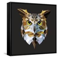 Owl-Lora Kroll-Framed Stretched Canvas