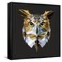 Owl-Lora Kroll-Framed Stretched Canvas