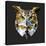 Owl-Lora Kroll-Stretched Canvas