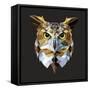 Owl-Lora Kroll-Framed Stretched Canvas