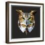 Owl-Lora Kroll-Framed Art Print