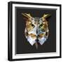 Owl-Lora Kroll-Framed Art Print