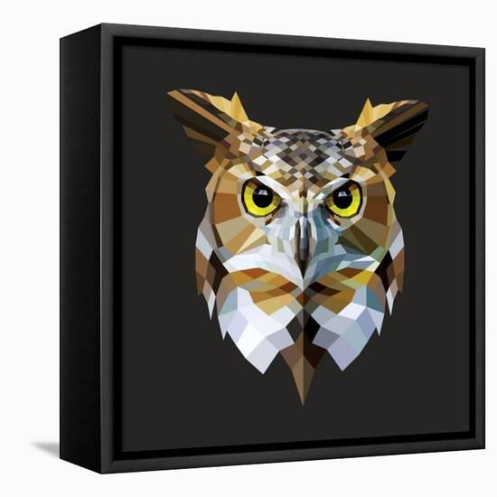 Owl-Lora Kroll-Framed Stretched Canvas