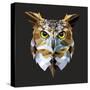 Owl-Lora Kroll-Stretched Canvas