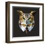 Owl-Lora Kroll-Framed Art Print