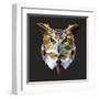 Owl-Lora Kroll-Framed Art Print